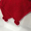 WhatsApp Image 2026-04-17 at 11.02.18 AM (1) Handmade Red Crochet Baby Blanket