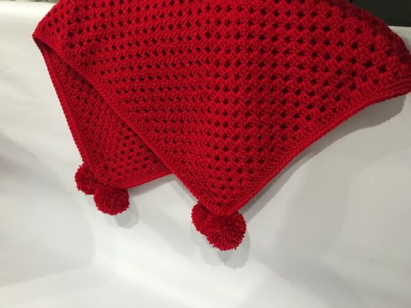 WhatsApp Image 2026-04-17 at 11.02.18 AM (1) Handmade Red Crochet Baby Blanket