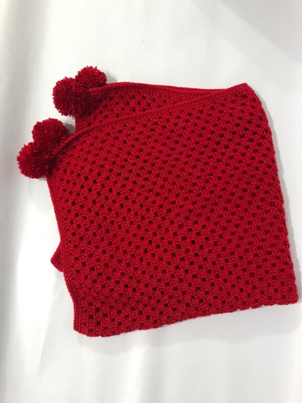WhatsApp Image 2026-04-17 at 11.02.18 AM (2) Handmade Red Crochet Baby Blanket