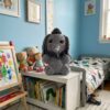 Flafelo grey boy