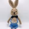 Big Bunny Boy