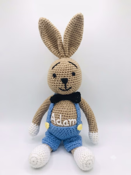 Big Bunny Boy