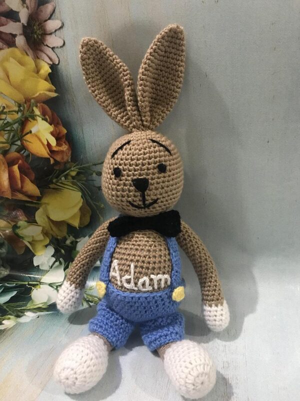Big Bunny Boy