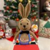 Big Bunny Boy