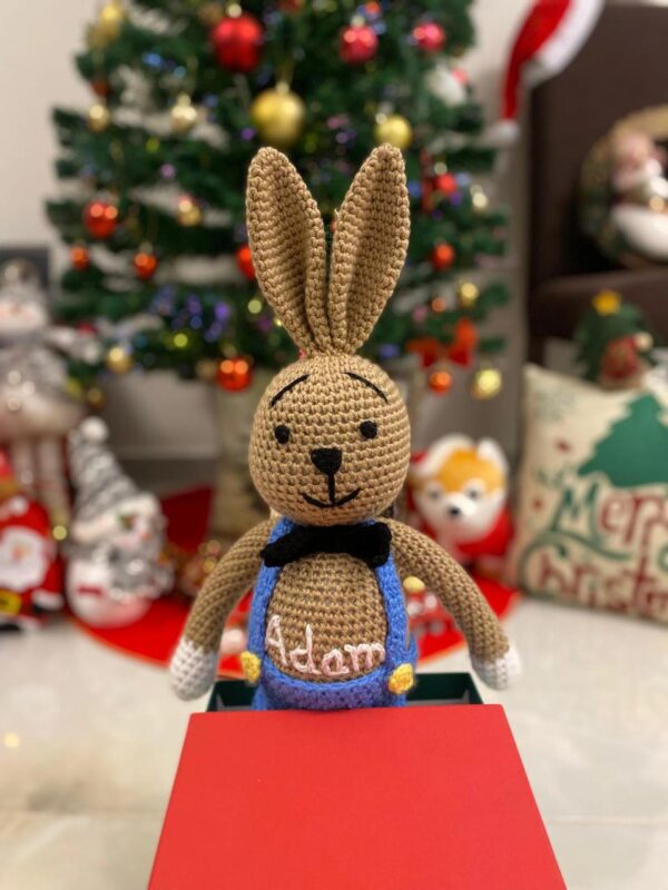 Big Bunny Boy