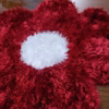 shag rug